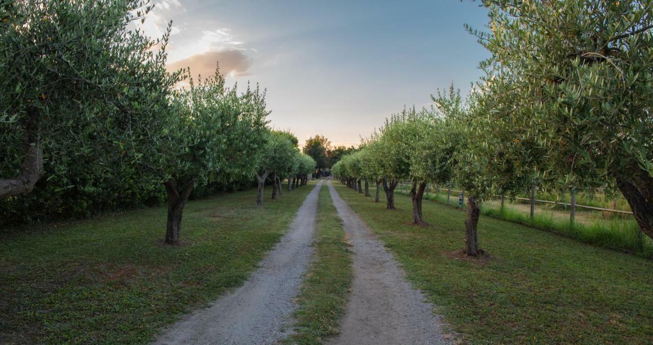 Fuori Le Mura Paestum Zewnętrze zdjęcie